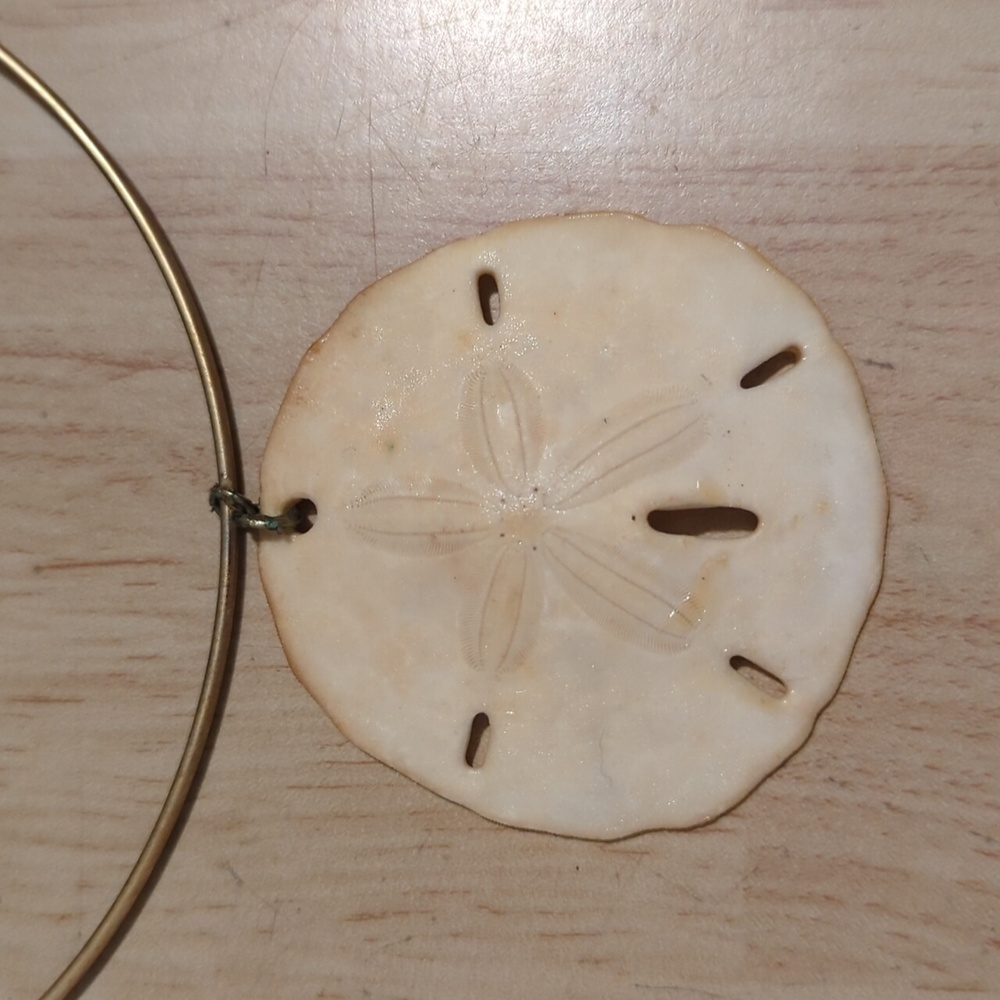 Unique Vintage Sand Dollar Choker - Picture 2 of 5
